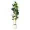 6ft. Fiddle Leaf Tree in Decorative White Planter
